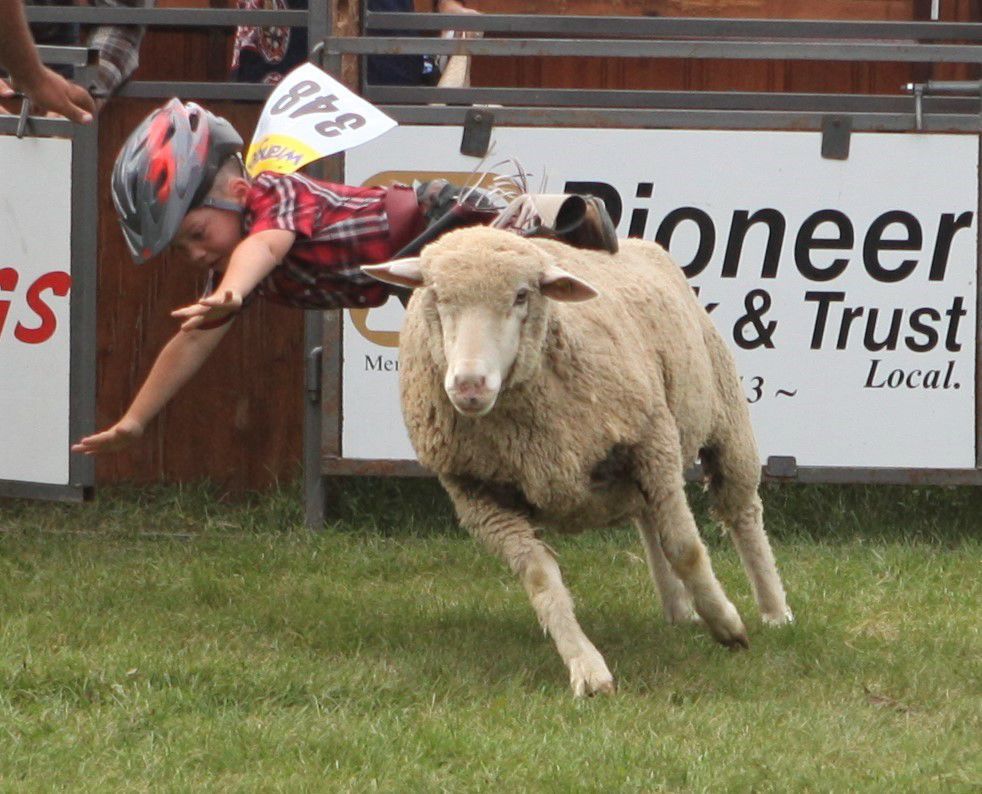 MB wyatt brown rides.jpg